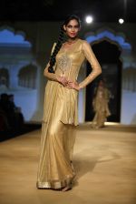 Model walks for designer Ashima Leena in Delhi on 26th July 2013 (2).jpg